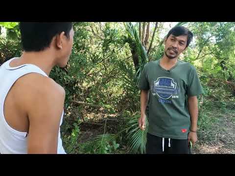 Impaarog da ni baak - Baak Andres