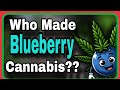 Cannabis Strain Legend: DJ Short (Know Your Blueberry Breeder)