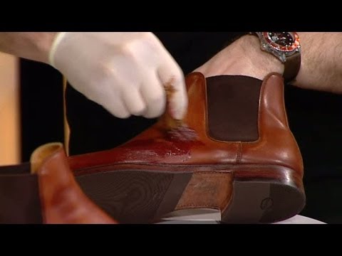 Skovårdsskola med Markus Davidson - Nyhetsmorgon (TV4)