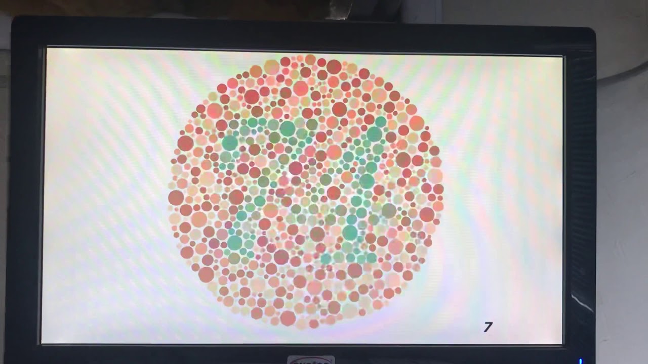 Daniela Erthal Righi Vieira-47