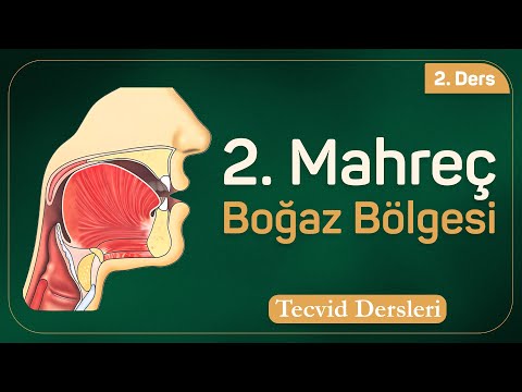2. Mahreç - Halk (Boğaz Bölgesi) | Tecvid Dersleri 2
