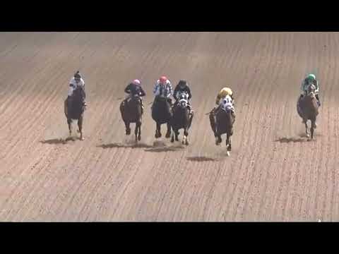 R3 Gulfstream 07 Mar 2026