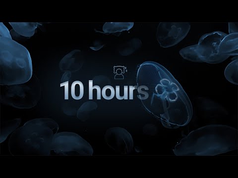 10 Hrs of Ocean Sounds & Jellyfish | Moon jellyfish swimming in 4k | Rich immersive underwater audio
