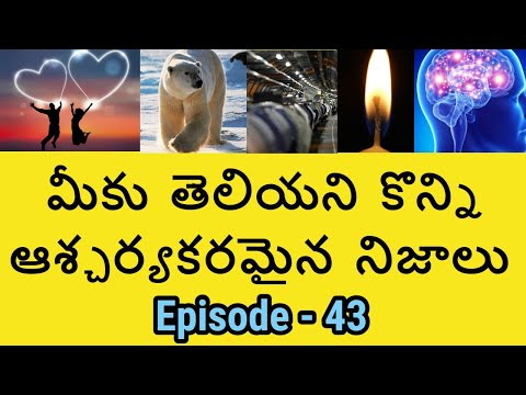 Episode 43 - interesting facts - amazing and unknown facts