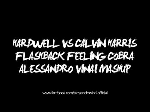 Hardwell vs Calvin Harris - Flashback Feeling Cobra (Alessandro Vinai Mashup)