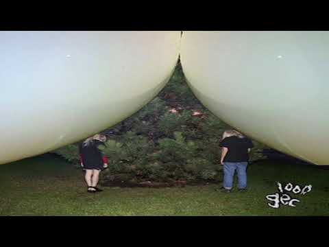 100 gecs - Stupid Horse (feat. Death Grips)