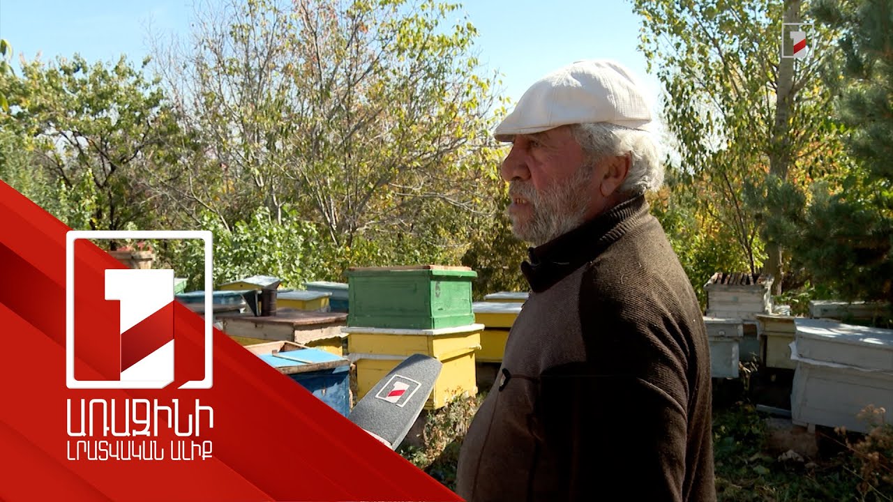 «Մեղու չկա փեթակի մեջ». ՍԱՏՄ-ն ուսումնասիրում է Սյունիքում և Արագածոտնում մեղուների անկման պատճառը