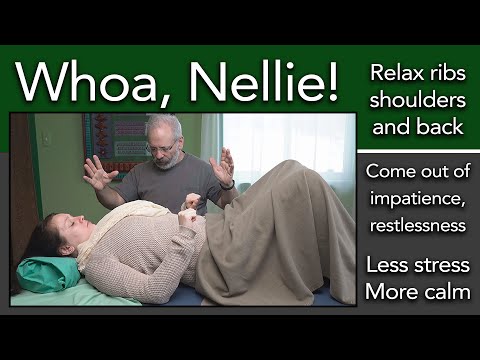 3 Whoa, Nellie! Relax the Back Address restlessness, impatience  Chapter 3 of Somatics Basics Course