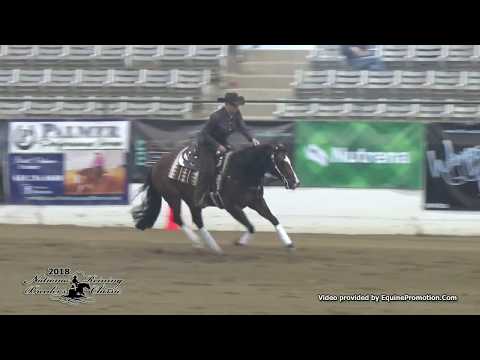 Night Time Spook ridden by Kelle L. Smith  - 2018 NRBC (NP Prelims)