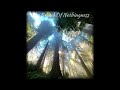 The Sound Of Nothingness By Izmi Maruf Slowed Edited