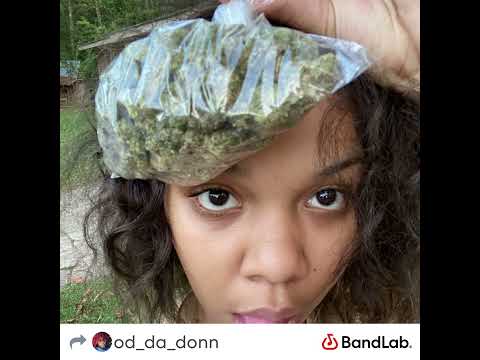 NTZ.DA.DONN-Honestly ￼