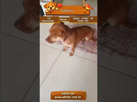 Vídeo de Valentina 