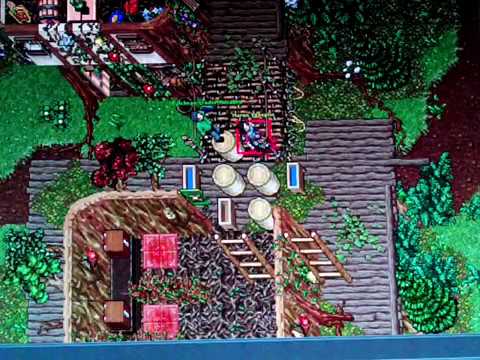 Killing market bot (Maron Yonsplin, trailing bot)