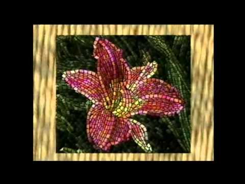 Nosso Programa - 24/06/2015 Quarta