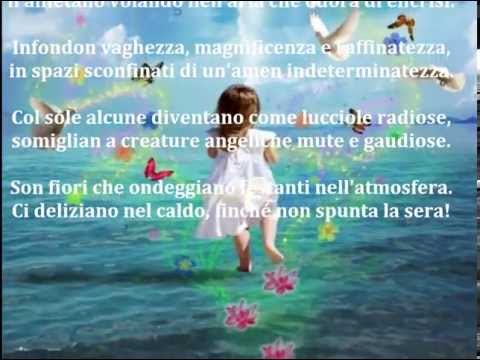 LA DANZA DELLE FARFALLE