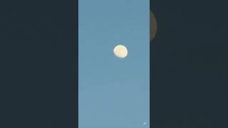 �V�̃}�j�A
