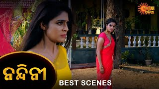 Nandini - Episode 111 | Full Episode | Odia Naagin show | Sun Odia