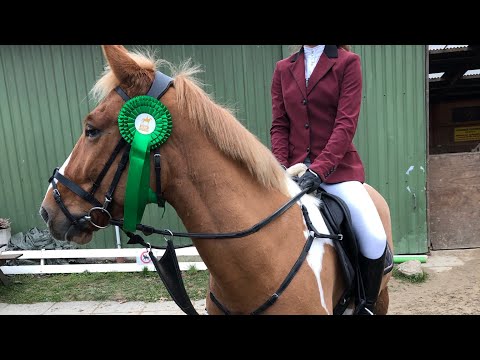 Stævne i SLRK d. 29/11 2020 | Anna Bursell & Laban