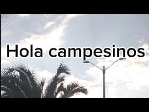 Hola campesinos