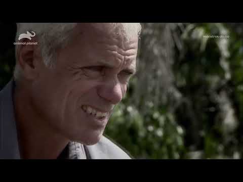 Monstros Do Rio - Peixe Lobo do Suriname