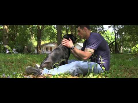 First Days Out, Pedigree Global Campaign gobi creative