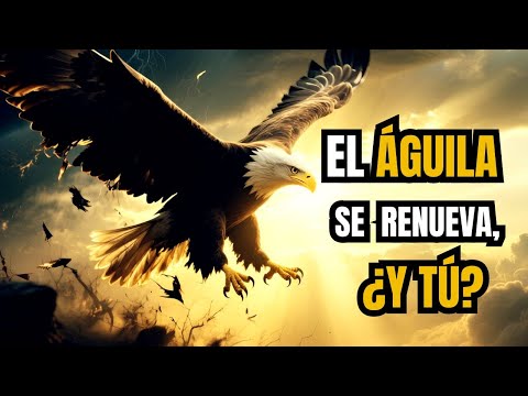 REFLECTION: THE RENEWAL OF THE EAGLE A STORY OF STRUGGLE AND OVERCOMING
