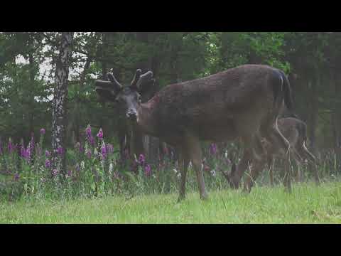 MB Productions - nieuwe vibes