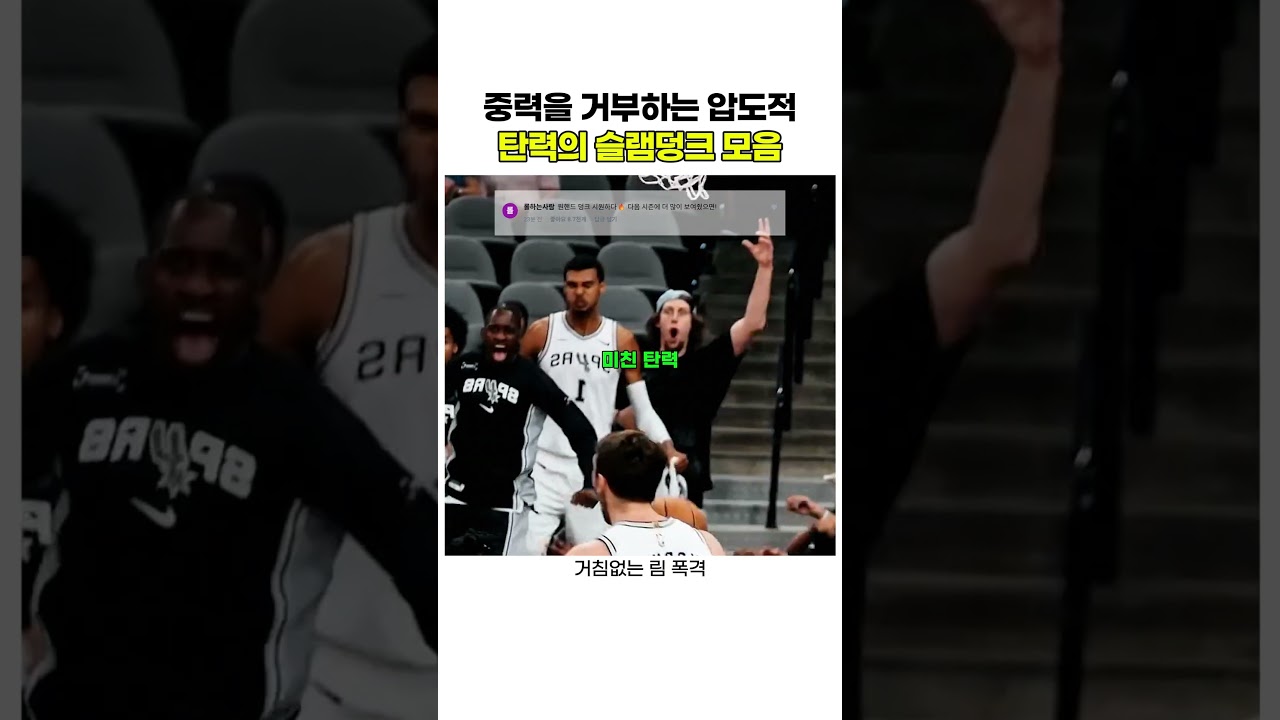 중력을 거부하는 압도적 탄력의 슬램덩크 모음