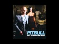 Pitbull [Ft. Akon] - Shut It Down (With Lyrics) 
