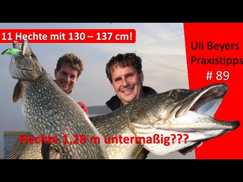 So funktioniert Rekordhecht fangen: 11 Hechtriesen von 130+ bis 1,37 m