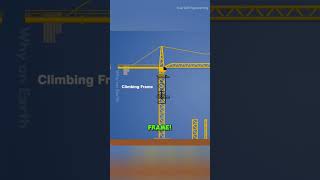 How do Tower Cranes Build up 1000M?🤔