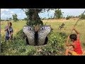 TWO MILITARY BOYS CATCH LARGEST WATER SNAKE IN CONGO JUNGLE