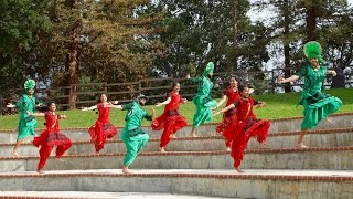 Bhangra Empire - Salute Freestyle