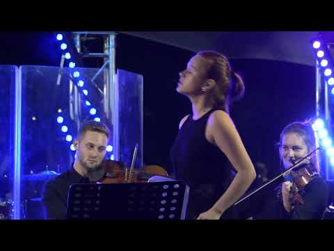 Deona Roman & Bigg Dimm a'Band -  Crazy in Love ( cover )