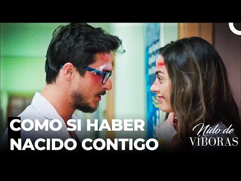El Amor Acelerado De Ejder Y Nagme - Nido De Víboras