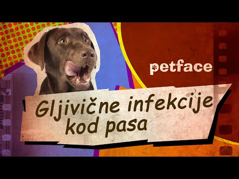 bikaférgek kezelése hova kerül a pinworm tojás?