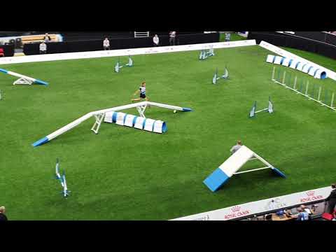 DORTE 1st place Tobias Wust Small Agility AWC 2019