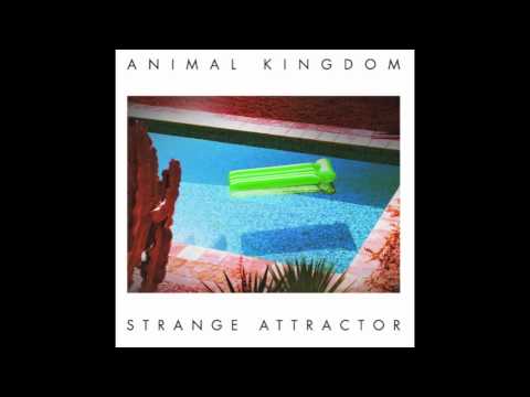 Animal Kingdom - Strange Attractor (Audio)
