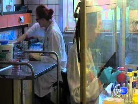 Europa Allarme batterio killer