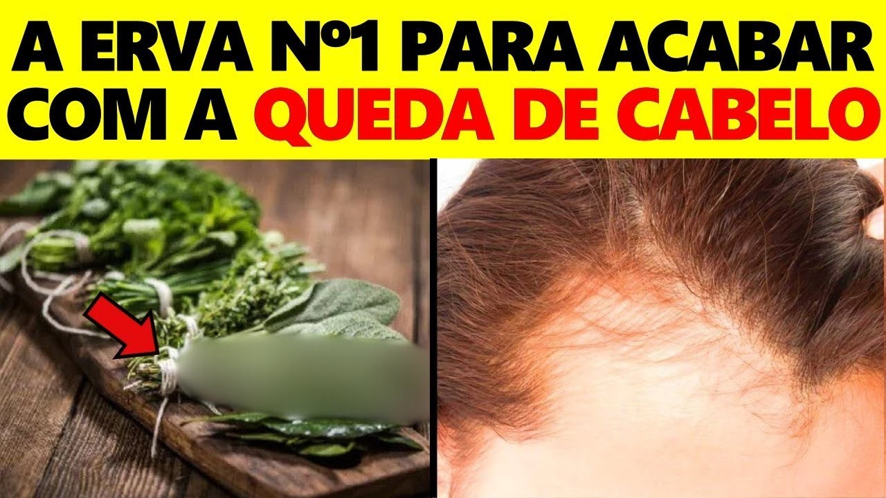 REVELADO! A Erva Nº1 para Fortalecer o Cabelo e Acabar com a Queda!