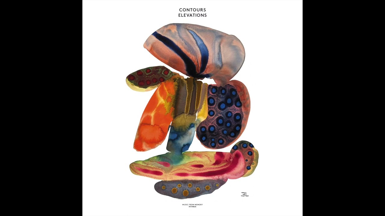 Contours - Elevation 1