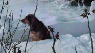 JE REVIENS CHEZ-NOUS. JEAN-PIERRE FERLAND + LYRICS.