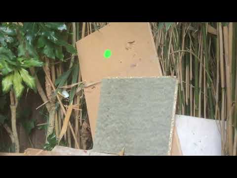 NSA 17.5 grains  FX IMPACT SMOOTH TWIST X SUB 12 ft lbs uk