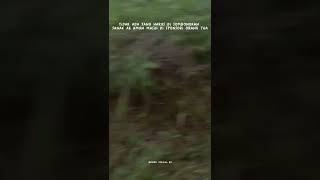 Download lagu story wa jangan sombong viral 2022 mp3