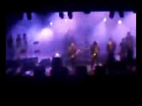 zebra et le bagad de carhaix le 9 aout 2013 à bénodet(29)