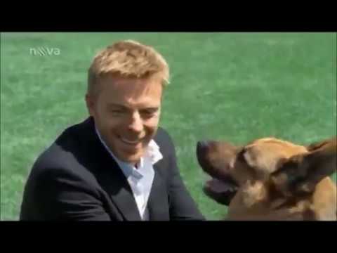 scarica il commissario rex