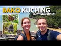 Wir Haben Endlich Die Nasenaffen Von Borneo Gesehen Kuching Bako Nationalpark