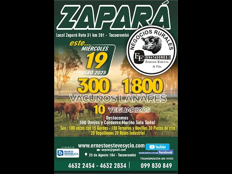 Remata Ernesto Esteves y Cia - Local Zapará // 19 de Febrero 2025