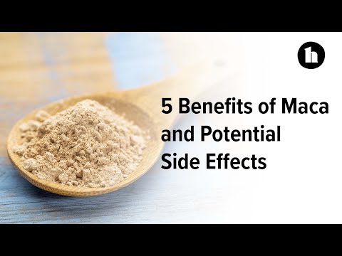 Maca Root Extract