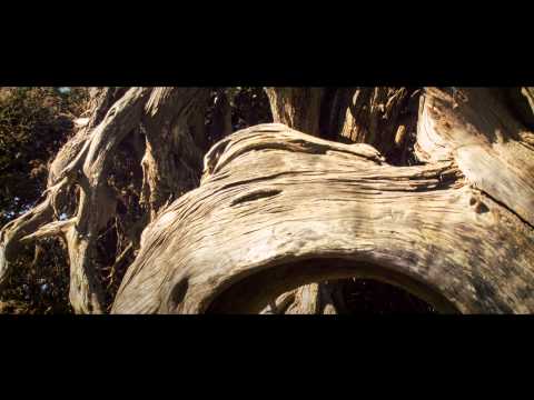 El Hierro - Tienes que venir aquí